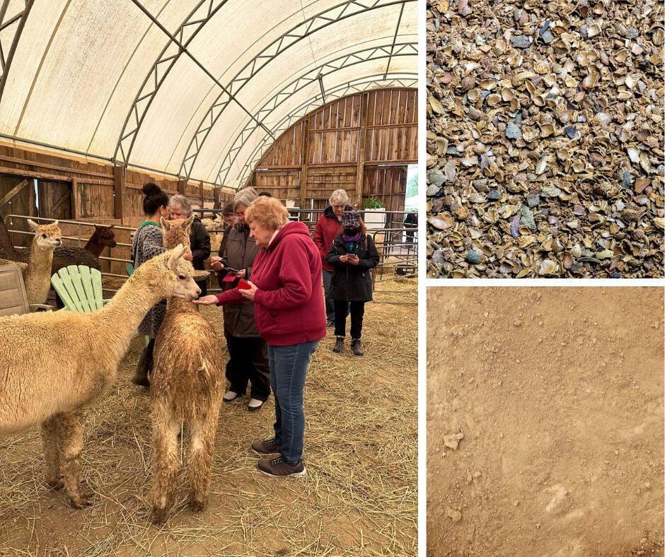 Non-barrier Free Materials