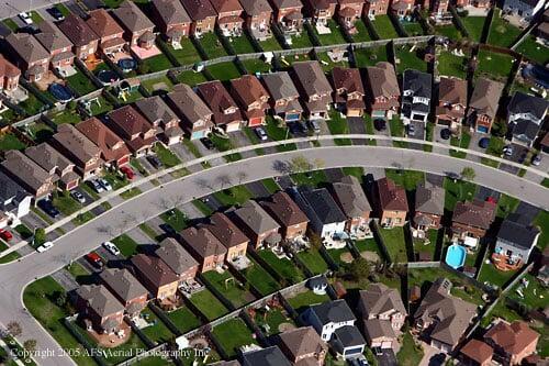 Suburban Seeds