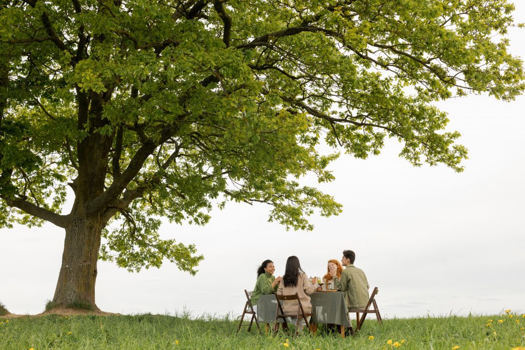 picnic in field with tree